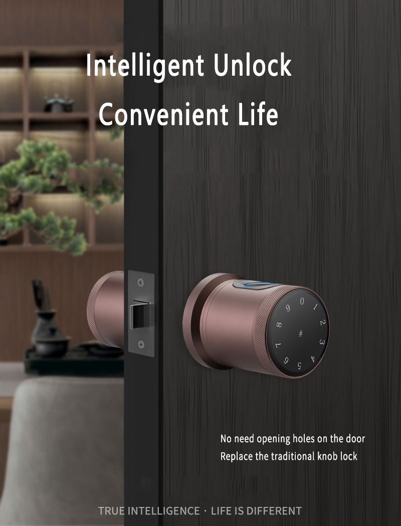 serrure intelligente d'empreinte digitale