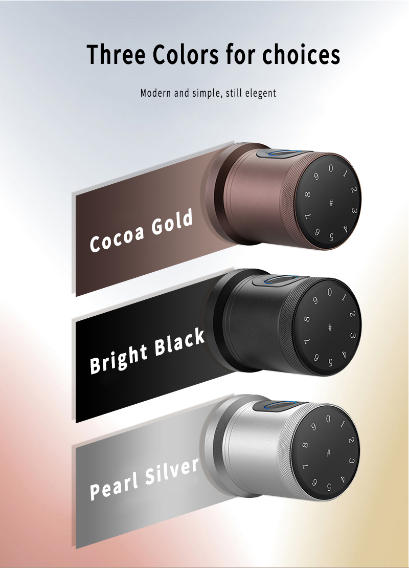 serrure de porte de chambre intelligente