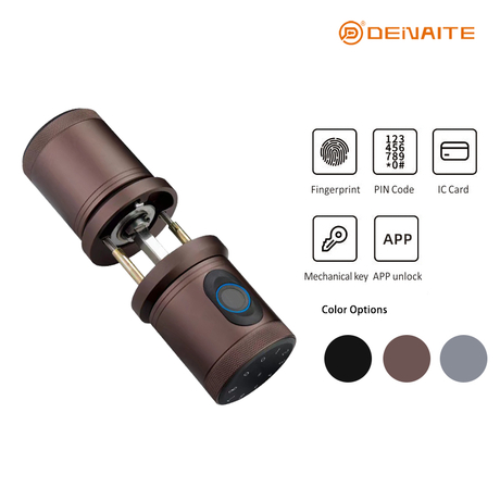 Serrure intelligente à bille X01