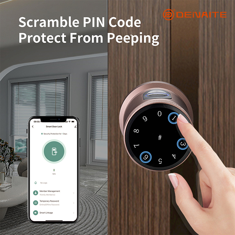 Serrure intelligente à bille X01