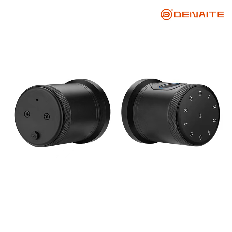 Serrure intelligente à bille X01