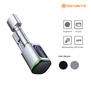 Serrure intelligente à bille X02