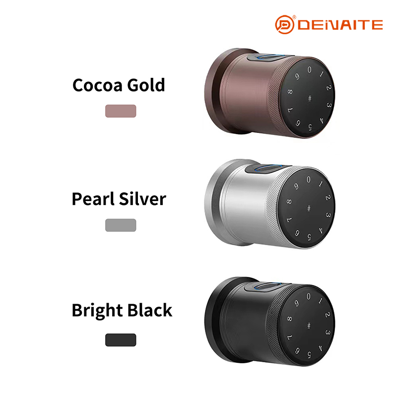 Serrure intelligente à bille X01