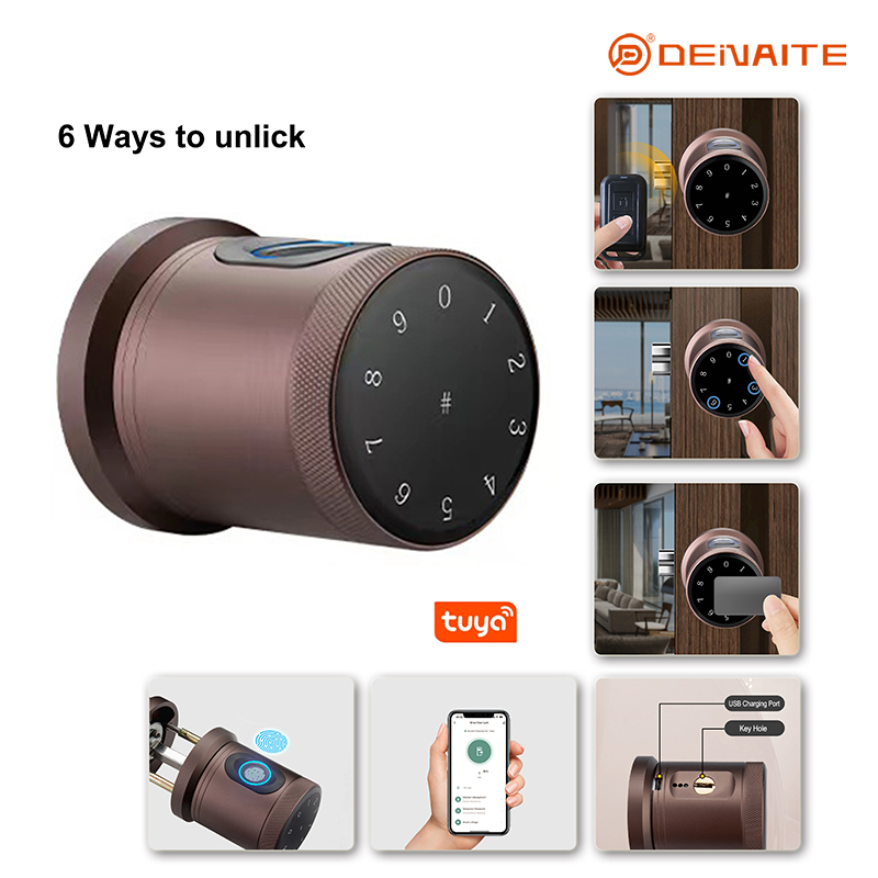 Serrure intelligente à bille X01